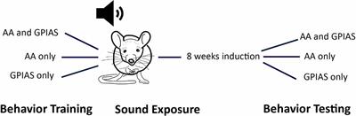 Comparison of two behavioral tests for tinnitus assessment in mice